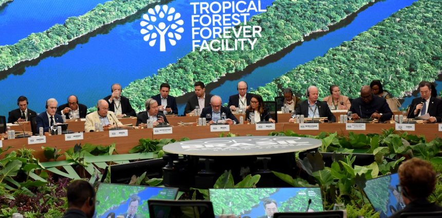 muito-alem-da-crise-climatica:-cop-30-deve-buscar-a-construcao-de-um-novo-modelo-de-civilizacao