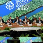 muito-alem-da-crise-climatica:-cop-30-deve-buscar-a-construcao-de-um-novo-modelo-de-civilizacao