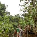 franca-lidera-acao-de-us$-2,5-bilhoes-para-proteger-floresta-do-congo