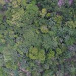 exposicao-digital-mostra-vida-nos-seis-biomas-brasileiros