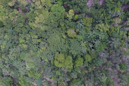 exposicao-digital-mostra-vida-nos-seis-biomas-brasileiros