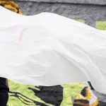 protecao-de-adolescentes-desafia-conselhos-tutelares-apos-megaoperacao