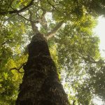 tv-brasil-estreia-nova-temporada-de-“parques-do-brasil”-neste-domingo