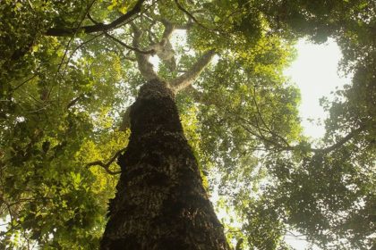 tv-brasil-estreia-nova-temporada-de-“parques-do-brasil”-neste-domingo