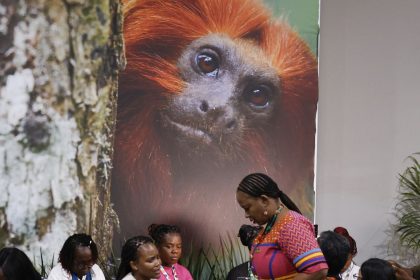 cop30:-financiamento,-transicao-e-adaptacao-sao-centro-das-negociacoes