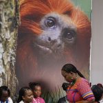 cop30:-financiamento,-transicao-e-adaptacao-sao-centro-das-negociacoes