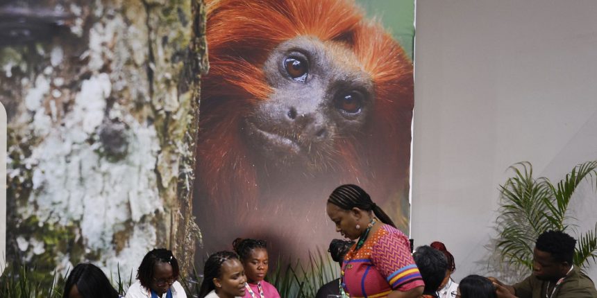 cop30:-financiamento,-transicao-e-adaptacao-sao-centro-das-negociacoes