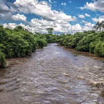 cerrado-enfrenta-desmatamento-acelerado-e-entra-no-centro-do-debate-sobre-conservacao