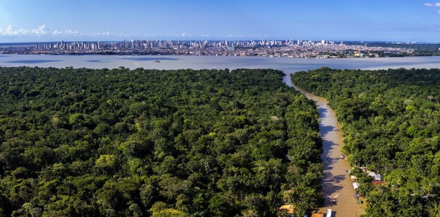 debate-global-sobre-o-clima-tornou-se-um-espelho-da-crise-de-governanca-internacional