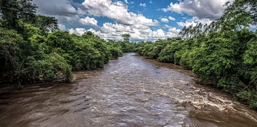 cerrado-enfrenta-desmatamento-acelerado-e-entra-no-centro-do-debate-sobre-conservacao