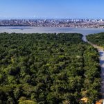 debate-global-sobre-o-clima-tornou-se-um-espelho-da-crise-de-governanca-internacional