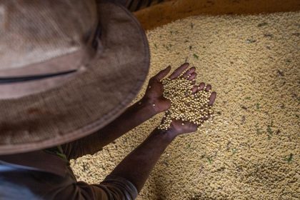 livro-aborda-producao-sustentavel-em-meio-a-mudanca-climatica