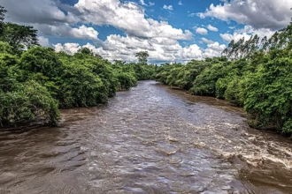 cerrado-enfrenta-desmatamento-acelerado-e-entra-no-centro-do-debate-sobre-conservacao