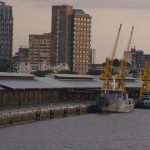 delegado-aponta-risco-no-combate-a-crimes-ambientais-com-pl-antifaccao