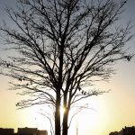 cientista-alerta-para-risco-de-aquecimento-global-por-longo-tempo