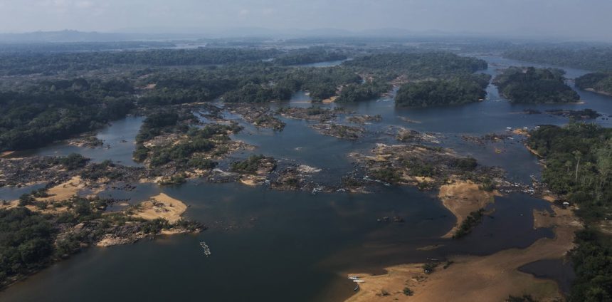 as-sociedades-tradicionais-amazonicas-estao-em-ponto-de-ruptura:-que-solucoes-esperar-da-cop-30?