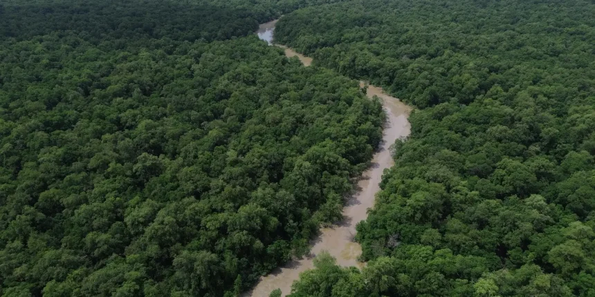 areas-protegidas-sao-quase-metade-da-amazonia-legal,-mostra-ibge