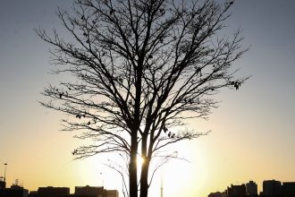 cientista-alerta-para-risco-de-aquecimento-global-por-longo-tempo