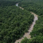 areas-protegidas-sao-quase-metade-da-amazonia-legal,-mostra-ibge