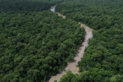 areas-protegidas-sao-quase-metade-da-amazonia-legal,-mostra-ibge