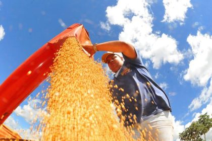 safra-deve-recuar-3,7%-em-2026,-depois-de-um-2025-recorde