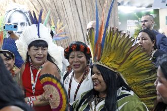 cop30-colocou-pauta-indigena-no-centro-do-debate-global,-diz-ministra