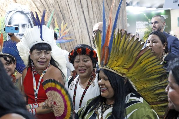 cop30-colocou-pauta-indigena-no-centro-do-debate-global,-diz-ministra