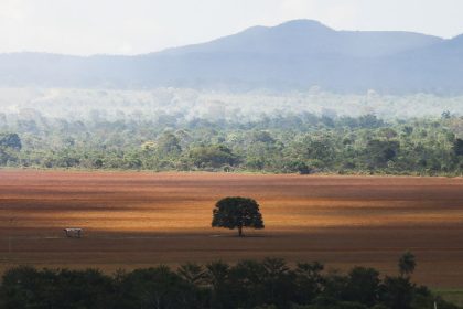 cop30:-governo-cobra-r$-476-milhoes-de-infratores-ambientais 