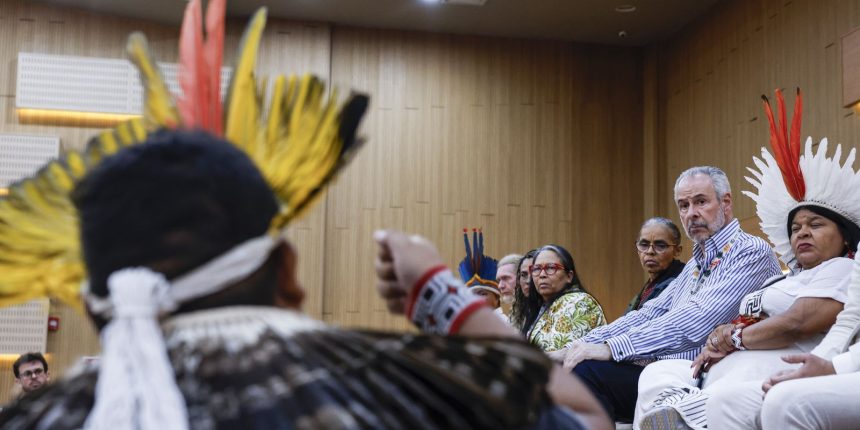 apos-protesto,-indigenas-munduruku-sao-recebidos-por-presidente-da-cop