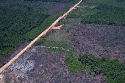 vias-ilegais-perto-da-br-319-avancam-em-areas-protegidas-na-amazonia