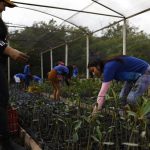 governo-fecha-parceria-para-expandir-energia-renovavel-na-amazonia