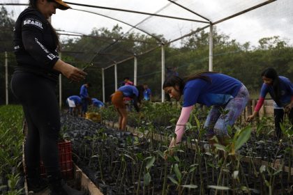 governo-fecha-parceria-para-expandir-energia-renovavel-na-amazonia