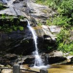 parque-nacional-da-tijuca-promove-feira-de-ciencias-com-foco-em-peixes