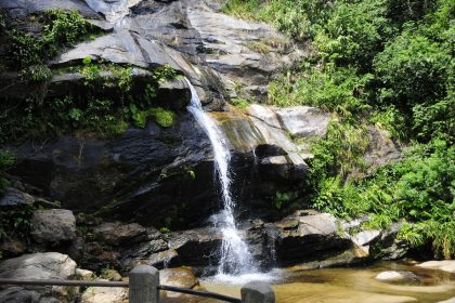 parque-nacional-da-tijuca-promove-feira-de-ciencias-com-foco-em-peixes