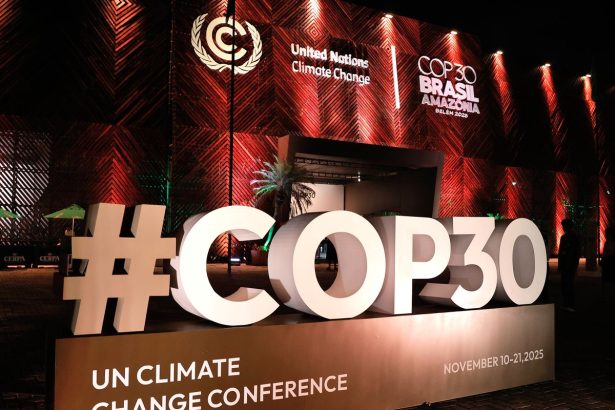 entenda-os-pontos-em-negociacao-na-retal-final-da-cop30