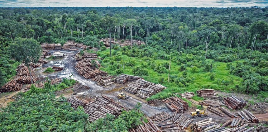 clima,-ambiente-e-saude:-uma-ligacao-fundamental-que-continua-fora-do-centro-do-debate