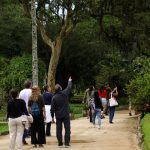 dia-da-consciencia-negra:-jardim-botanico-do-rio-tem-programa-especial