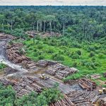 clima,-ambiente-e-saude:-uma-ligacao-fundamental-que-continua-fora-do-centro-do-debate