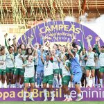 palmeiras-derrota-ferroviaria-e-conquista-copa-do-brasil-feminina