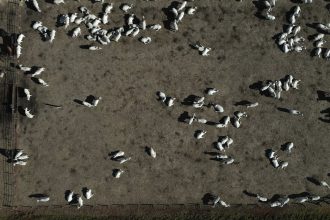 para-alcancar-o-net-zero-ate-2050,-brasil-precisa-usar-a-natureza-como-aliada