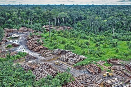 clima,-ambiente-e-saude:-uma-ligacao-fundamental-que-continua-fora-do-centro-do-debate