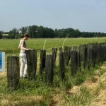 floresta-em-pe:-lavoura-e-arvores-reduzem-impacto-de-mudanca-climatica