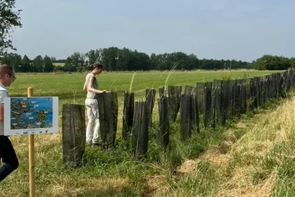 floresta-em-pe:-lavoura-e-arvores-reduzem-impacto-de-mudanca-climatica