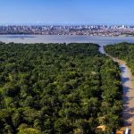 cop30-consolida-novo-patamar-do-turismo-no-brasil,-avalia-sabino