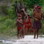 funai:-queda-de-vetos-do-pl-de-licenciamento-ameaca-terras-indigenas