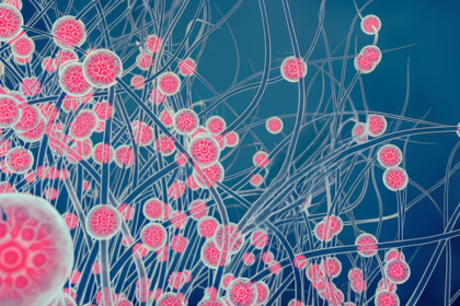 mudancas-ambientais-estao-potencializando-efeitos-negativos-dos-fungos-na-nossa-saude