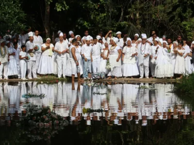 20-de-novembro:-um-dia-para-celebrar-e-refletir-sobre-o-legado-e-a-historia-afro-brasileira