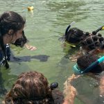 projeto-no-rio-forma-guardioes-de-cavalos-marinhos-de-12-a-14-anos