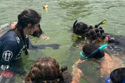 projeto-no-rio-forma-guardioes-de-cavalos-marinhos-de-12-a-14-anos