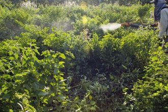 campanha-denuncia-agronegocio-por-contaminacoes-com-uso-de-agrotoxicos